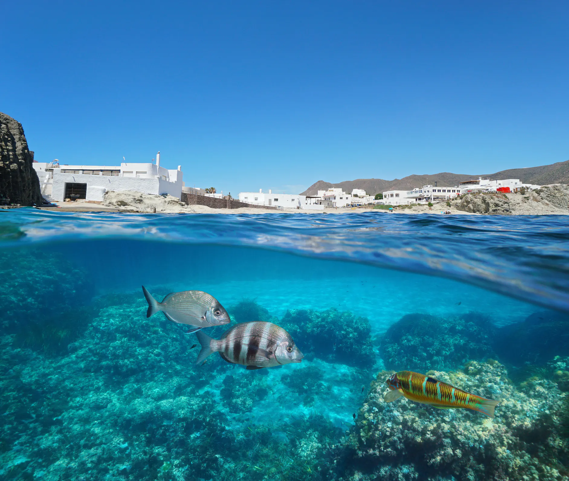 Why is the Ocean Act important for the Mediterranean Sea? Our Response to the Public Consultation