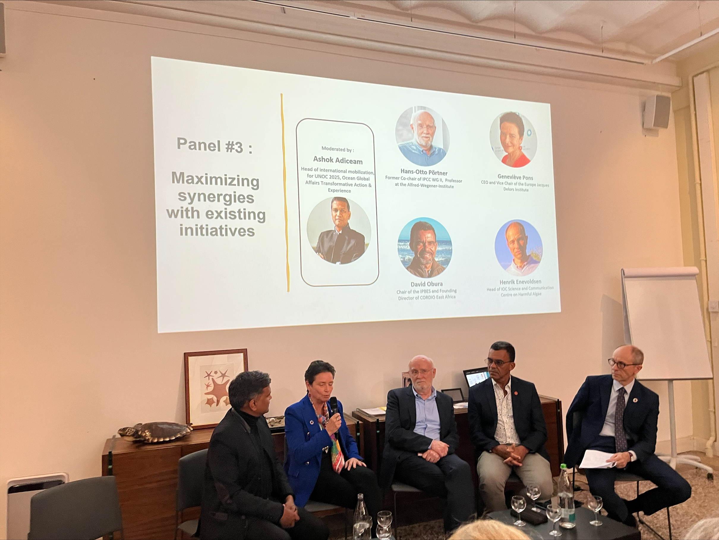 Towards an IPOS – The Gateway Between Ocean Knowledge and Policy Action