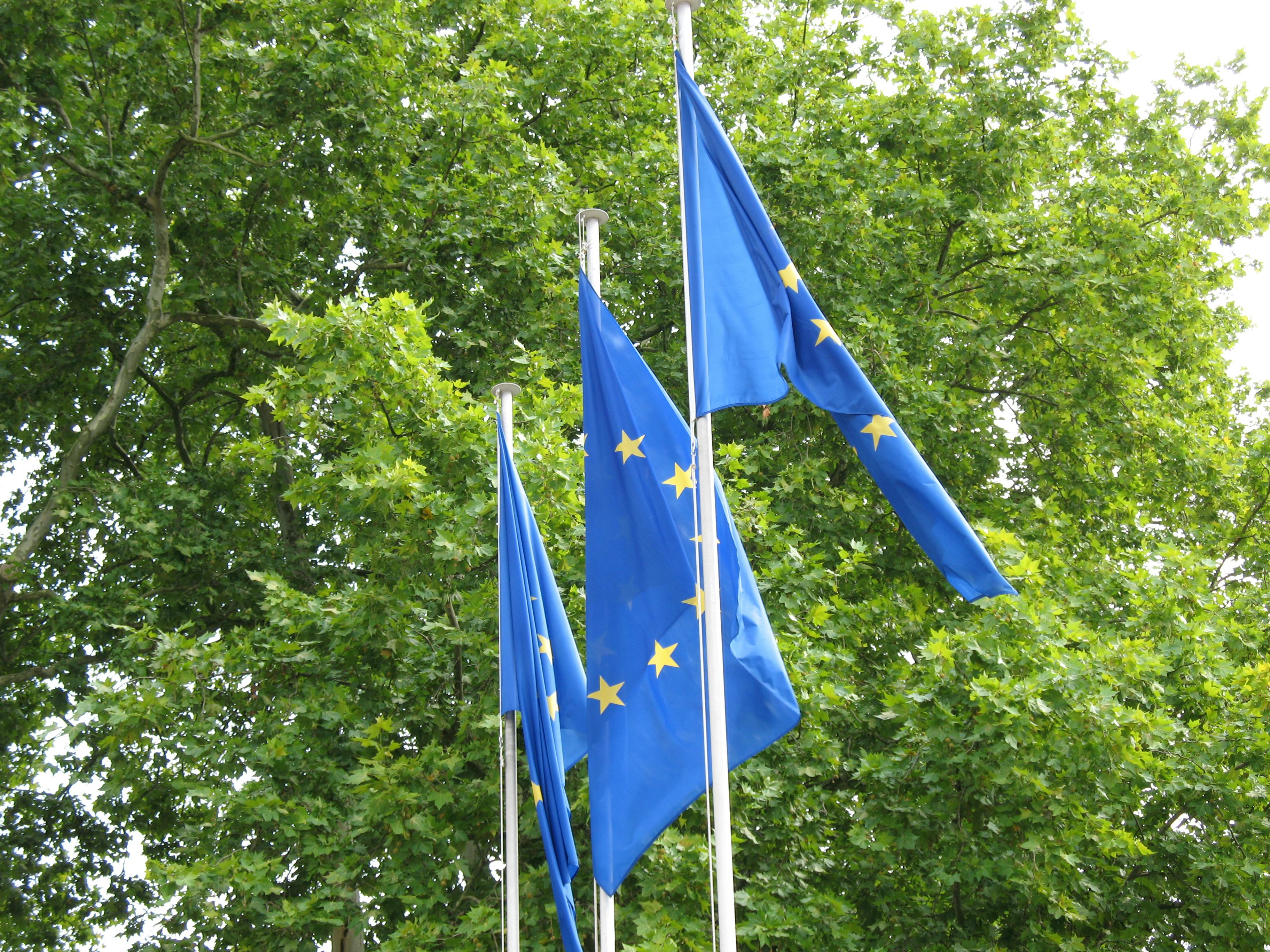 What will happen to the Green Deal after the European elections?