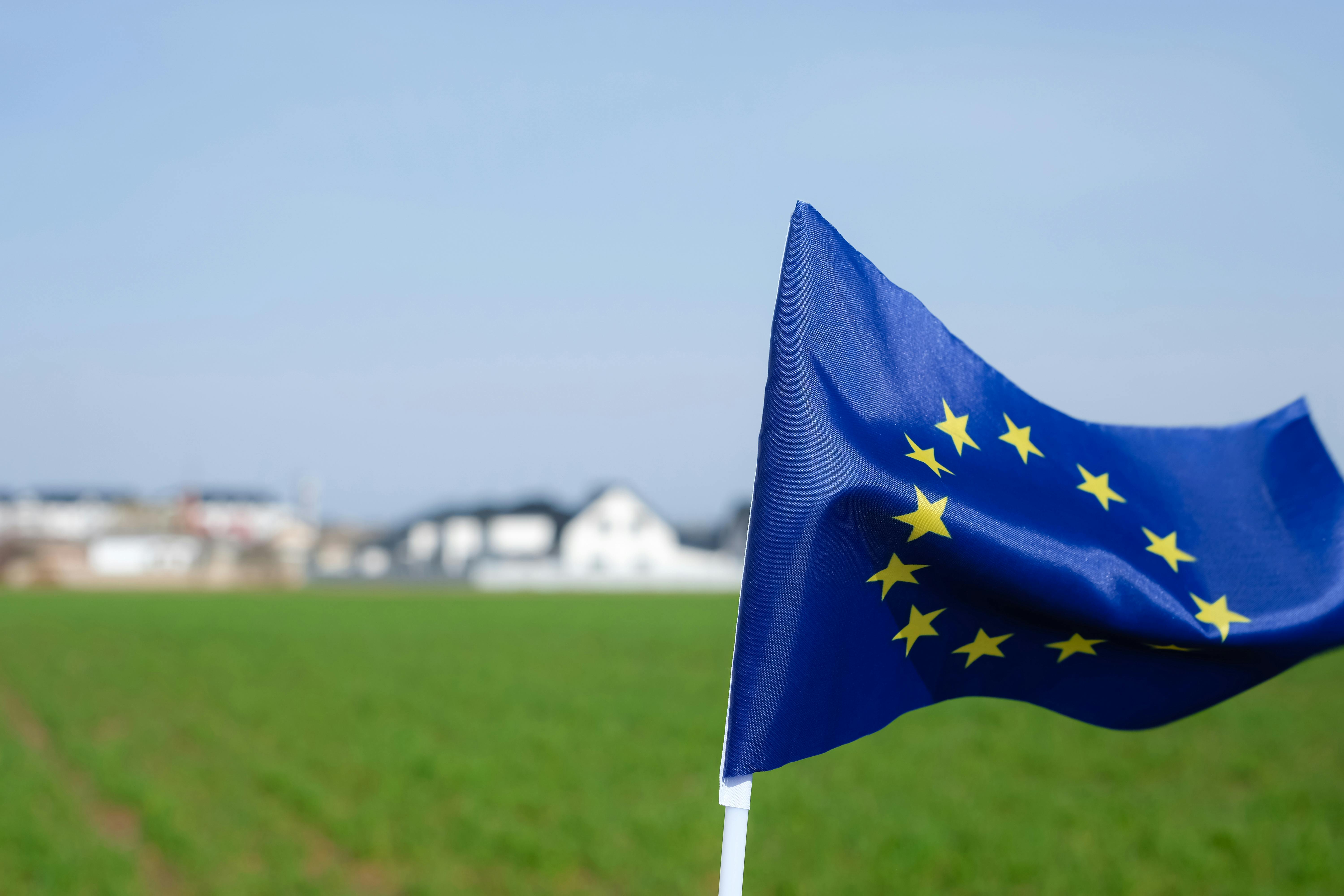 What should the EU do to keep its sustainability agenda after the European elections?