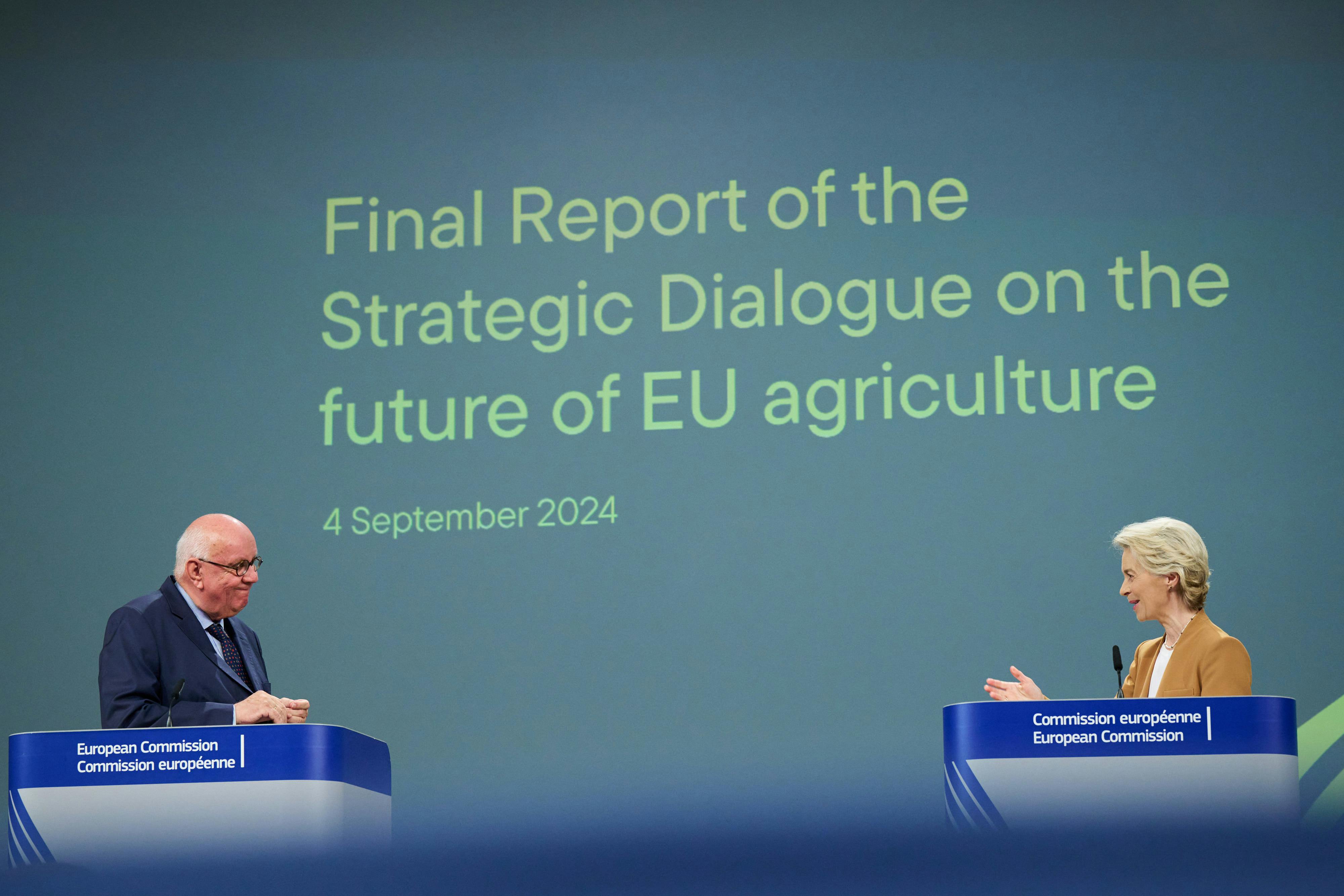 From conflict to consensus? The state of EU agri-food policy after the Strategic Dialogue’s conclusions 