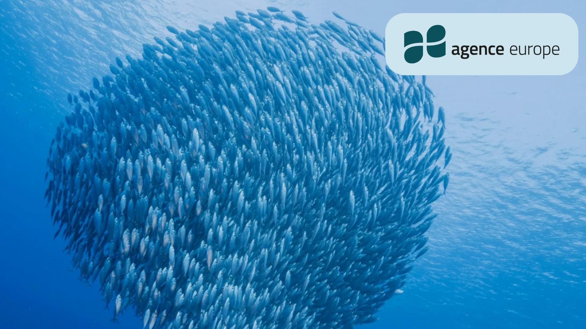 A call for lasting EU leadership in ocean governance