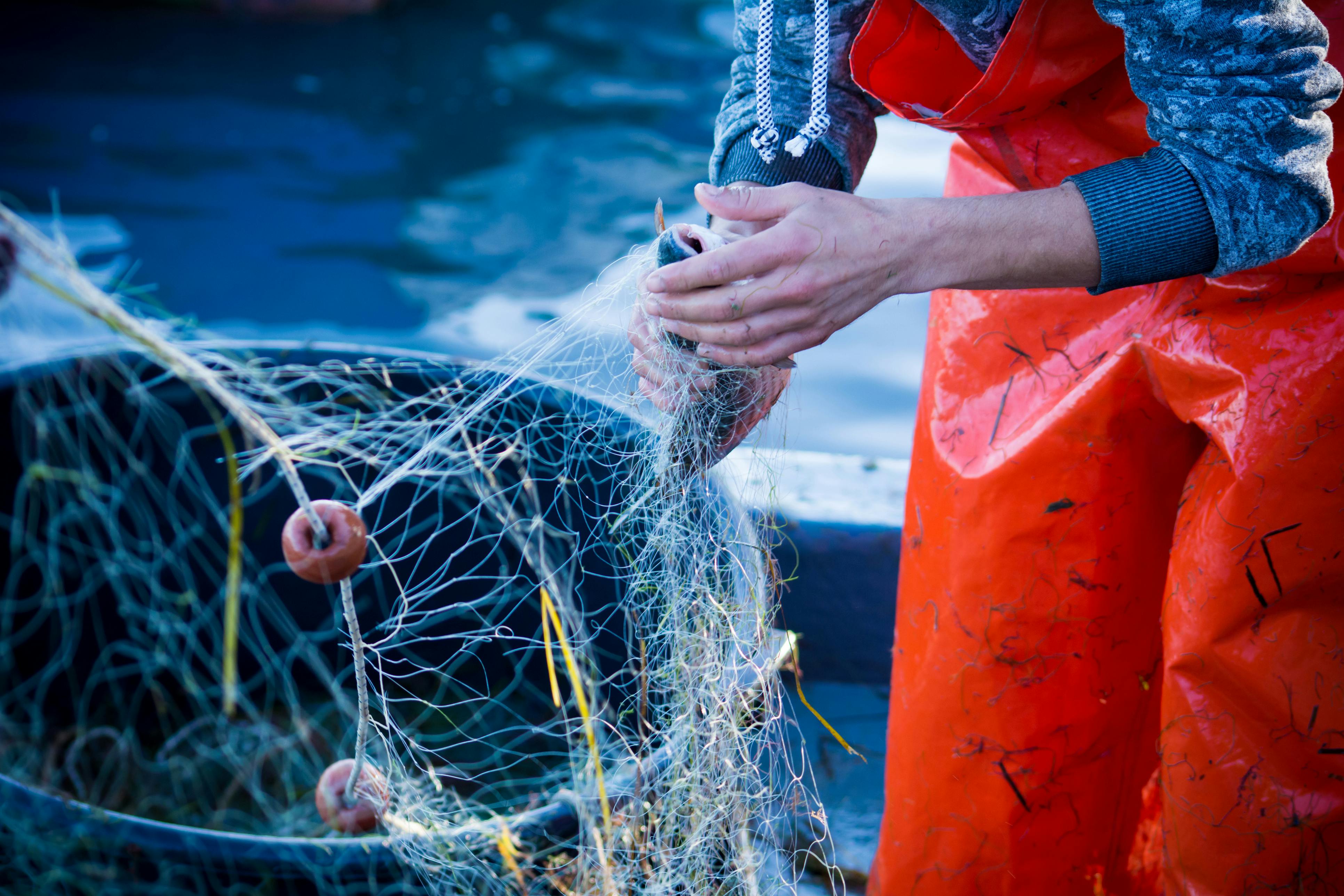 How can the EU best support the future of EU fishers?