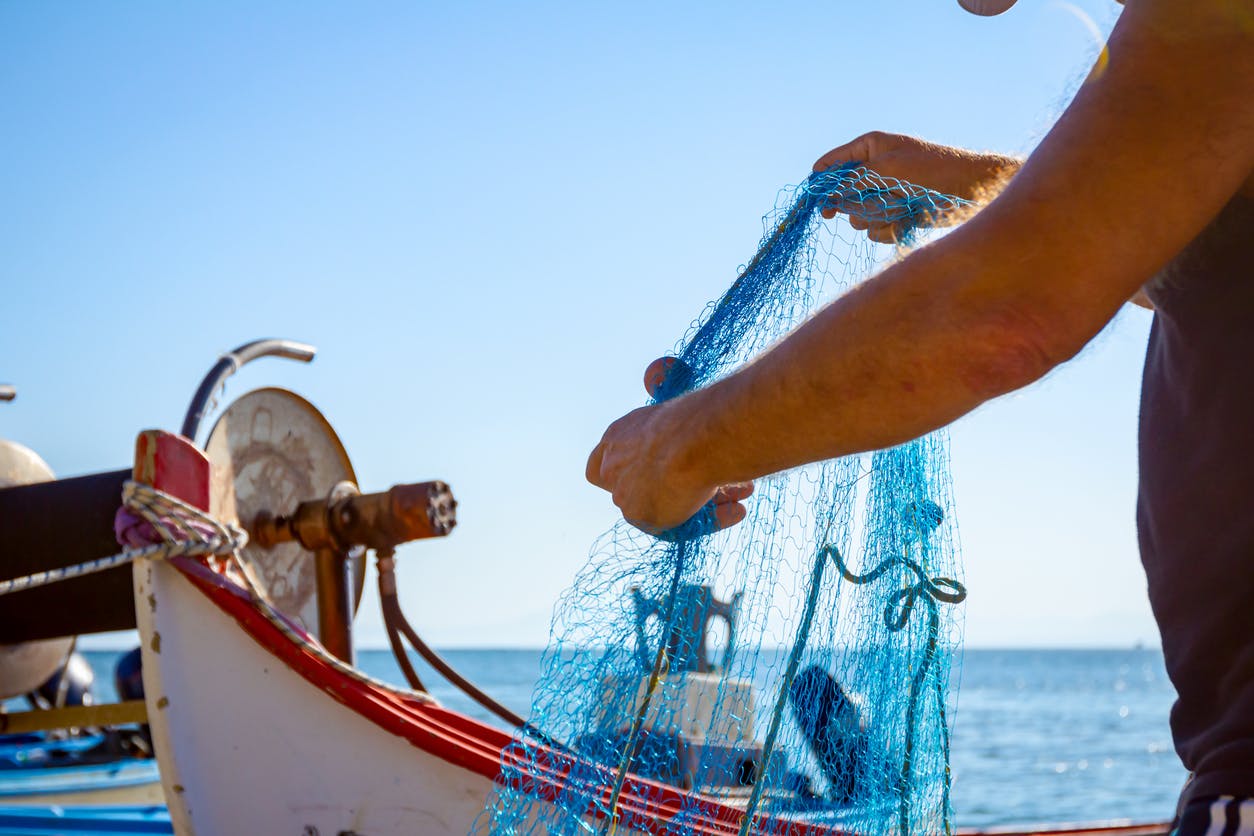 Behind a net of secrecy: How industrial fishing lobbying shapes EU Fisheries Policy