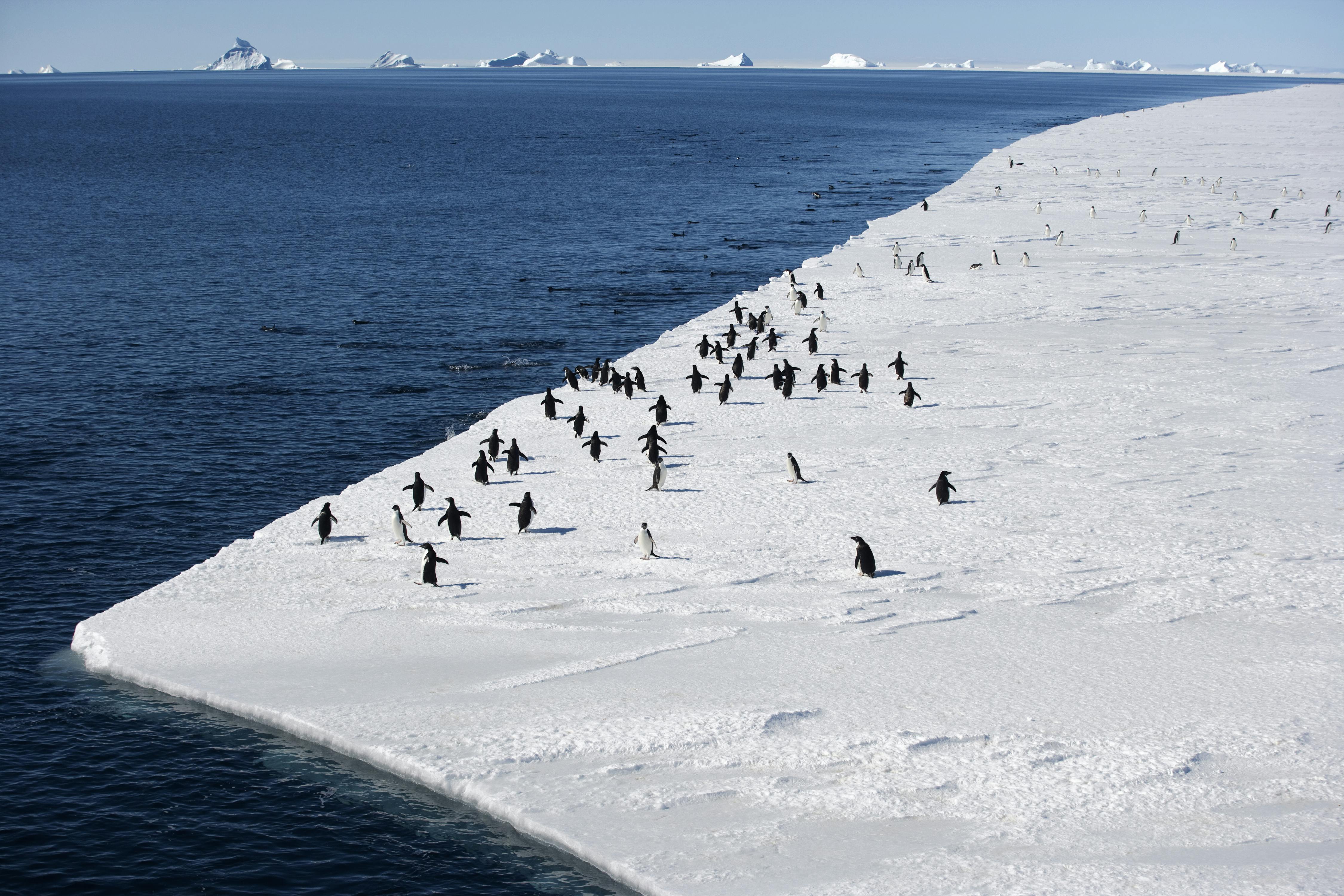 Antarctic ocean protection: Europe’s role on the road to Santiago
