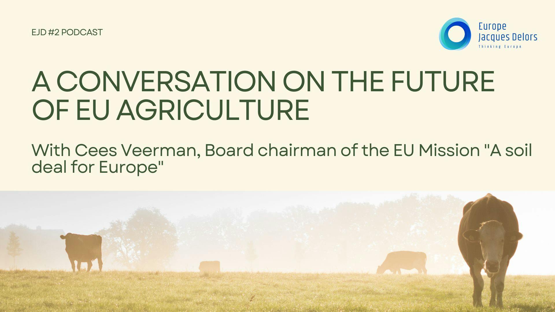 EJD Podcast: #2 Conversation with Cees Veerman on the future of EU agriculture 