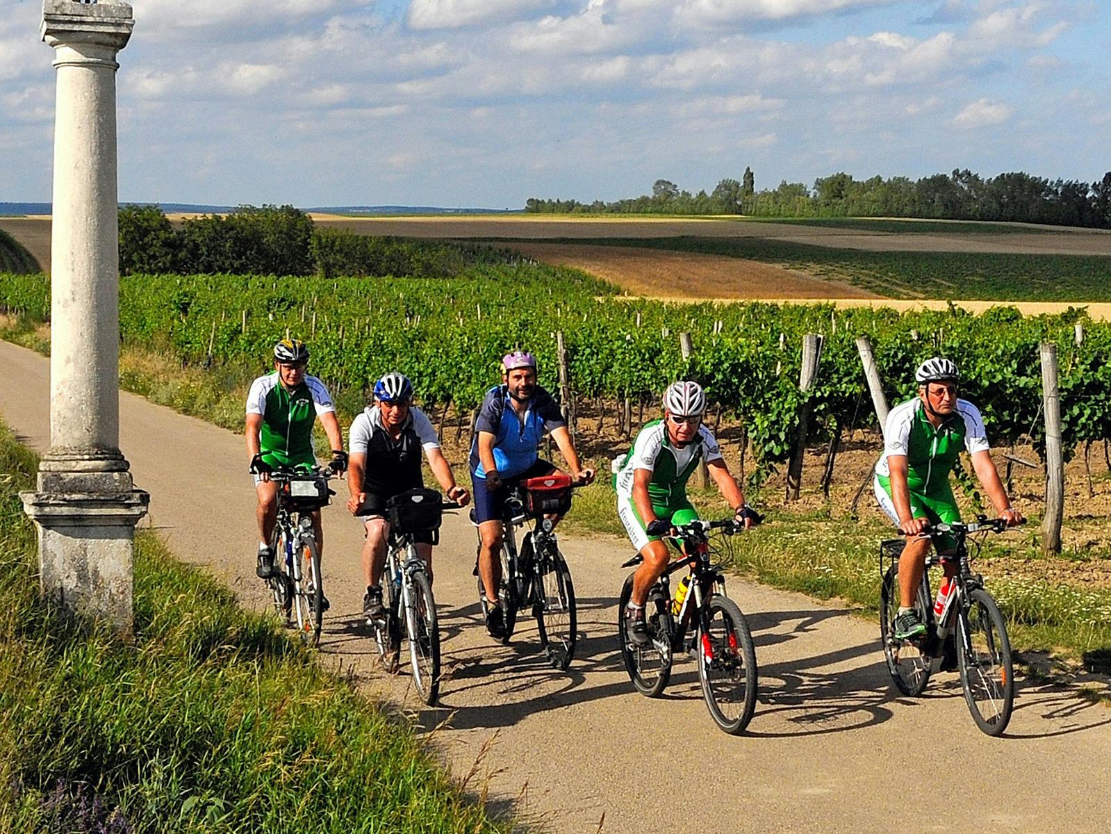 Rad Gruppe unterwegs in den Weingärten im Waldviertel