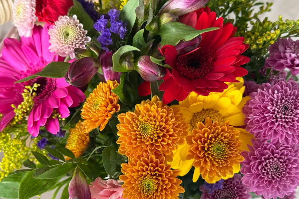 Bunch of colourful flowers