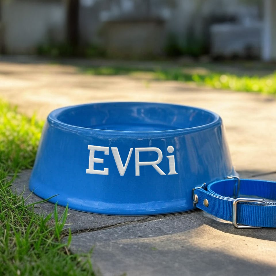 A blue dog collar next to a blue dog bowl with the Evri logo