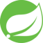 Logo Spring Framework