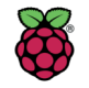 Logo Raspberry Pi