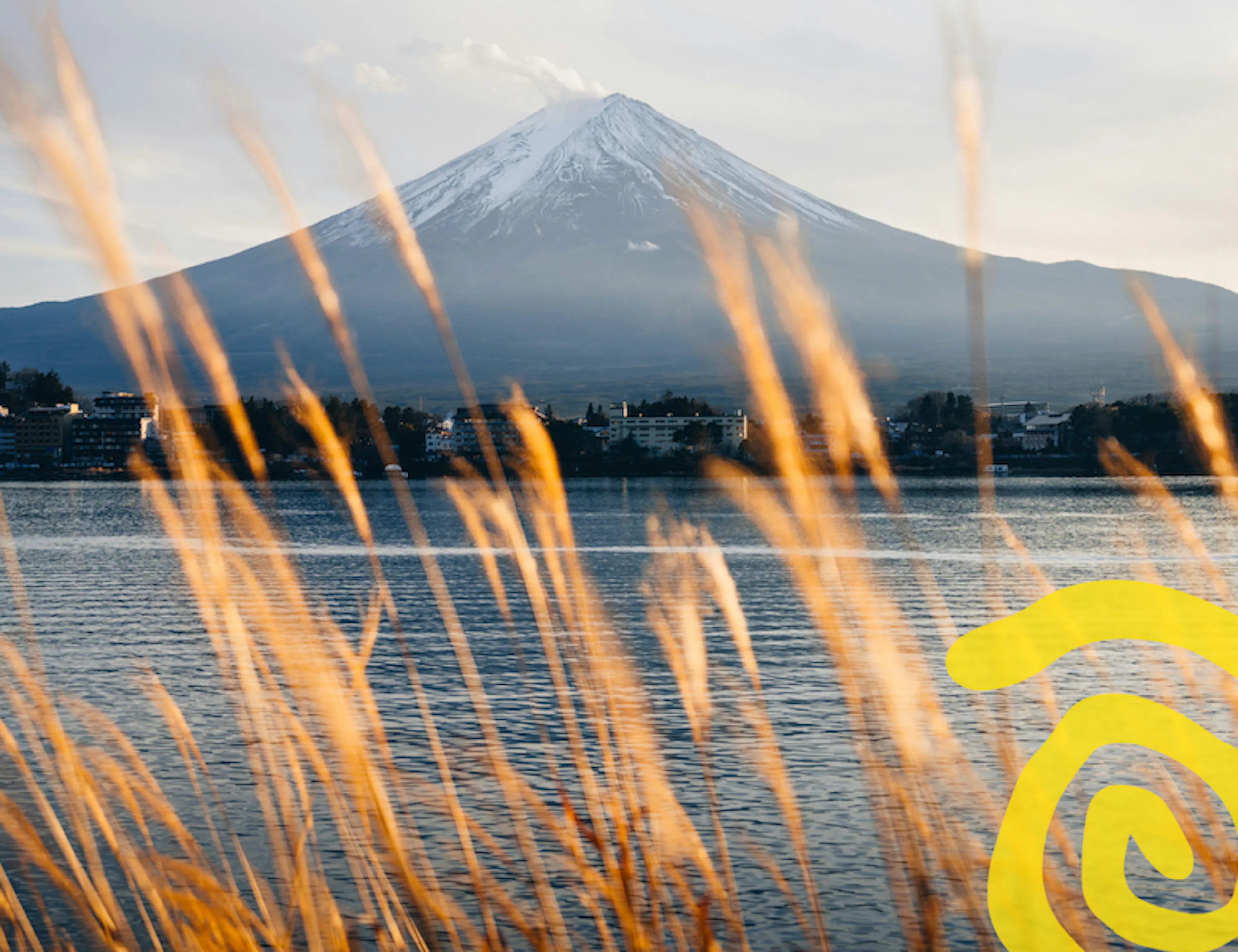 El monte Fuji con un lago y hierbas silvestres en primer plano