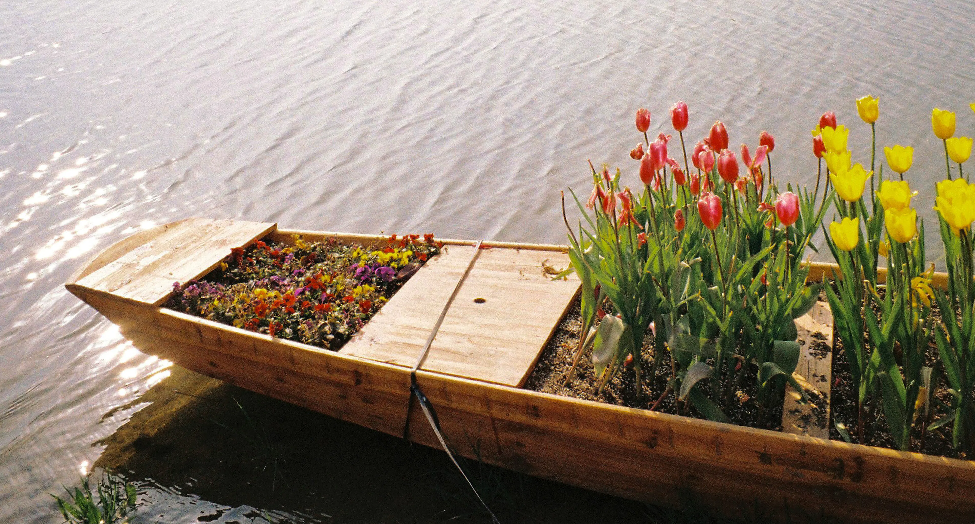 Een bootje met lentetulpen