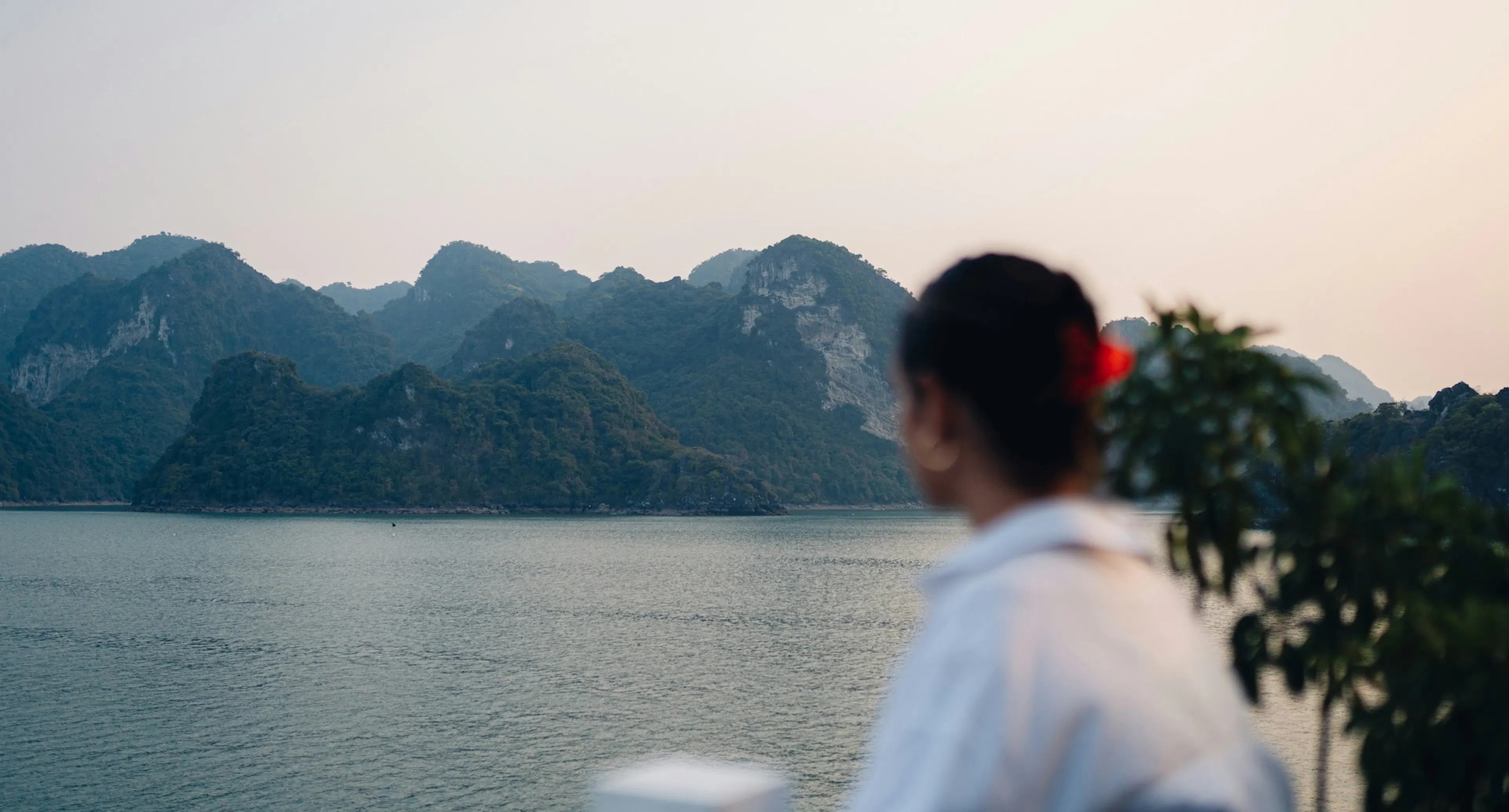 Una donna che osserva i paesaggi asiatici