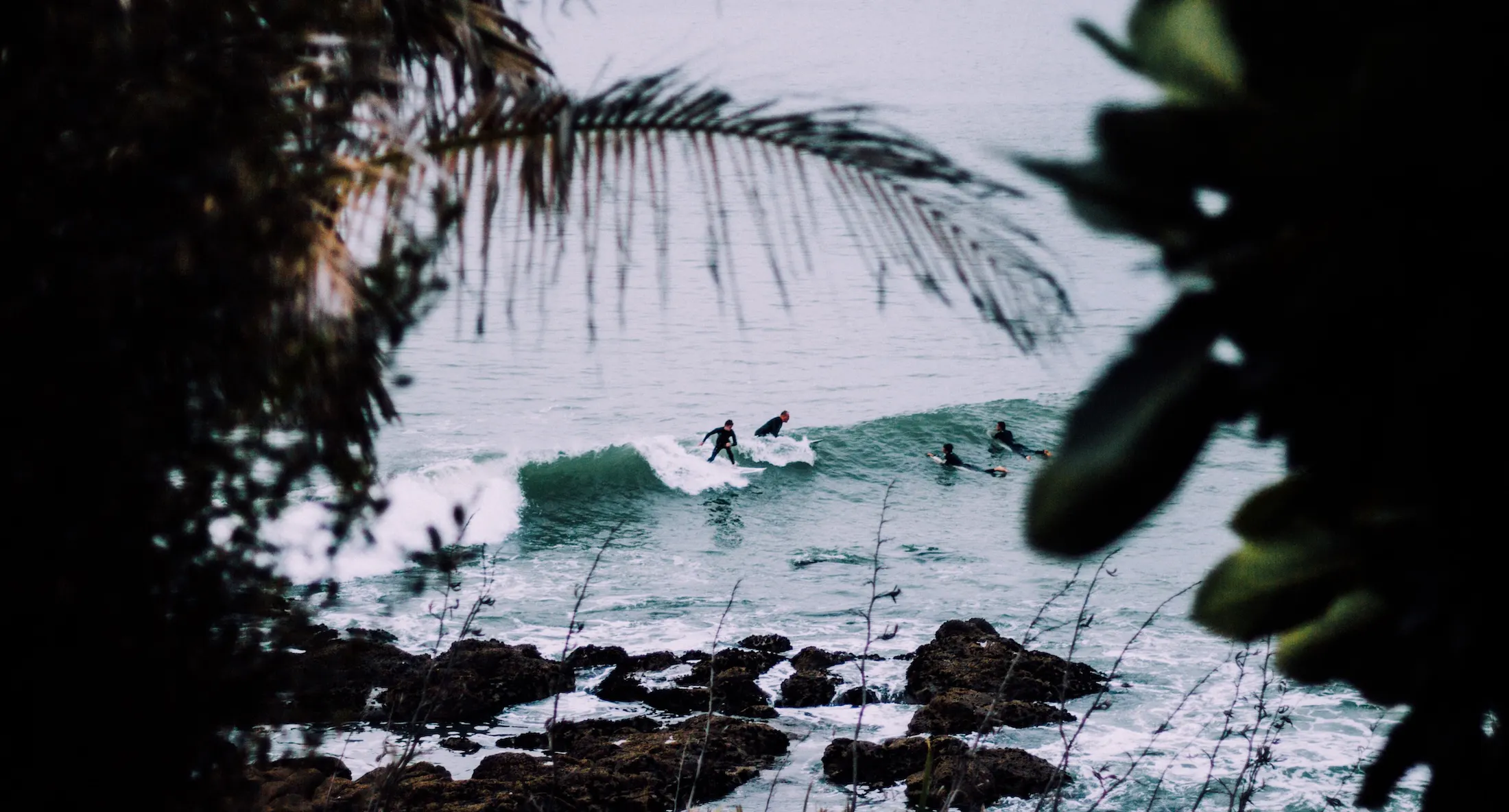 Surfistas en Oceanía