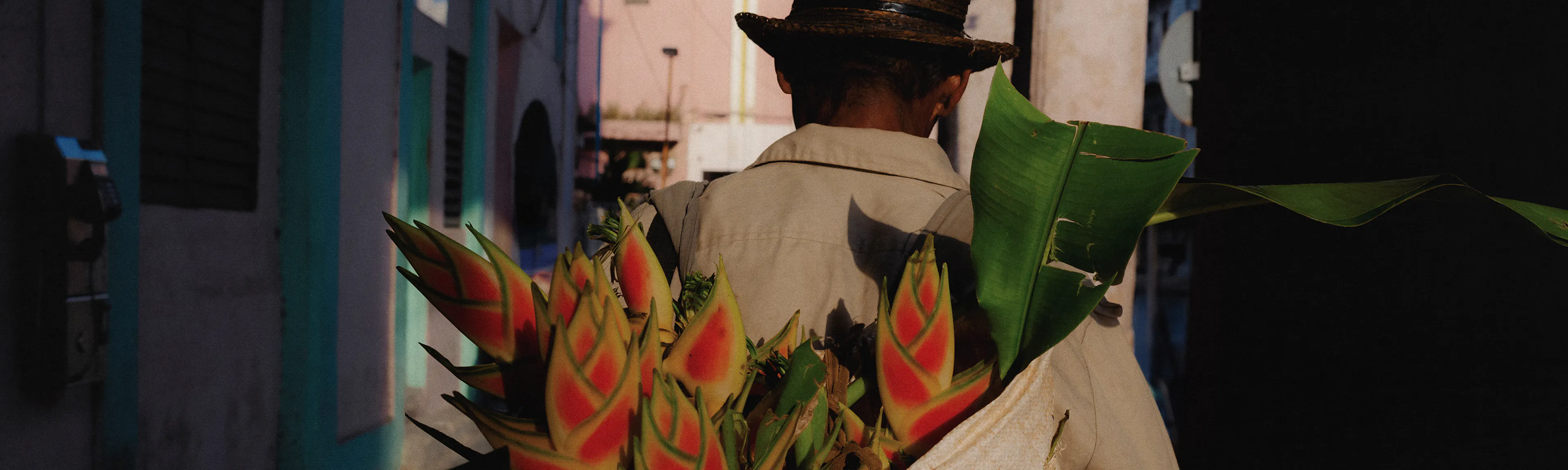homme avec fleurs