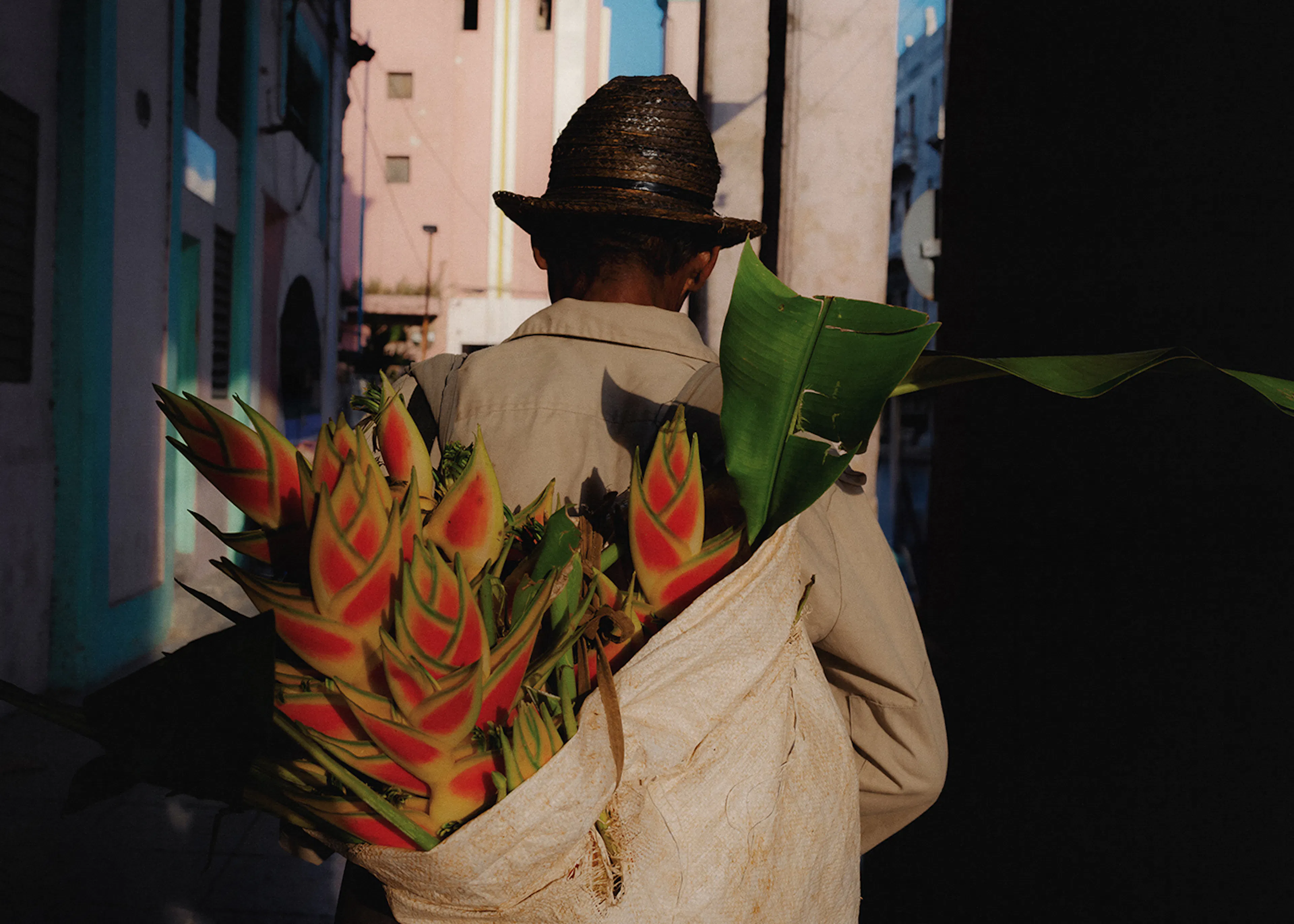 homme avec fleurs