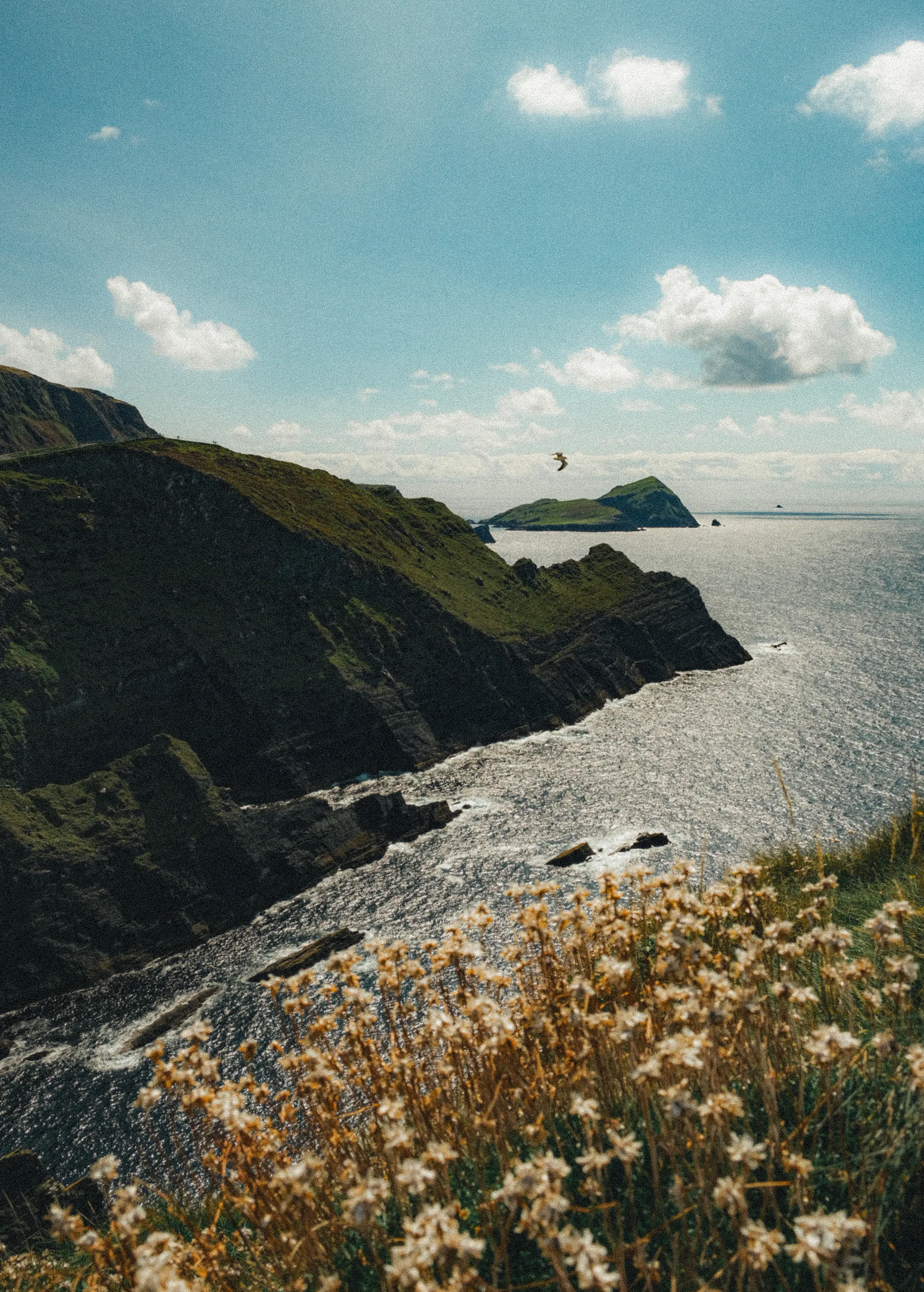 coast