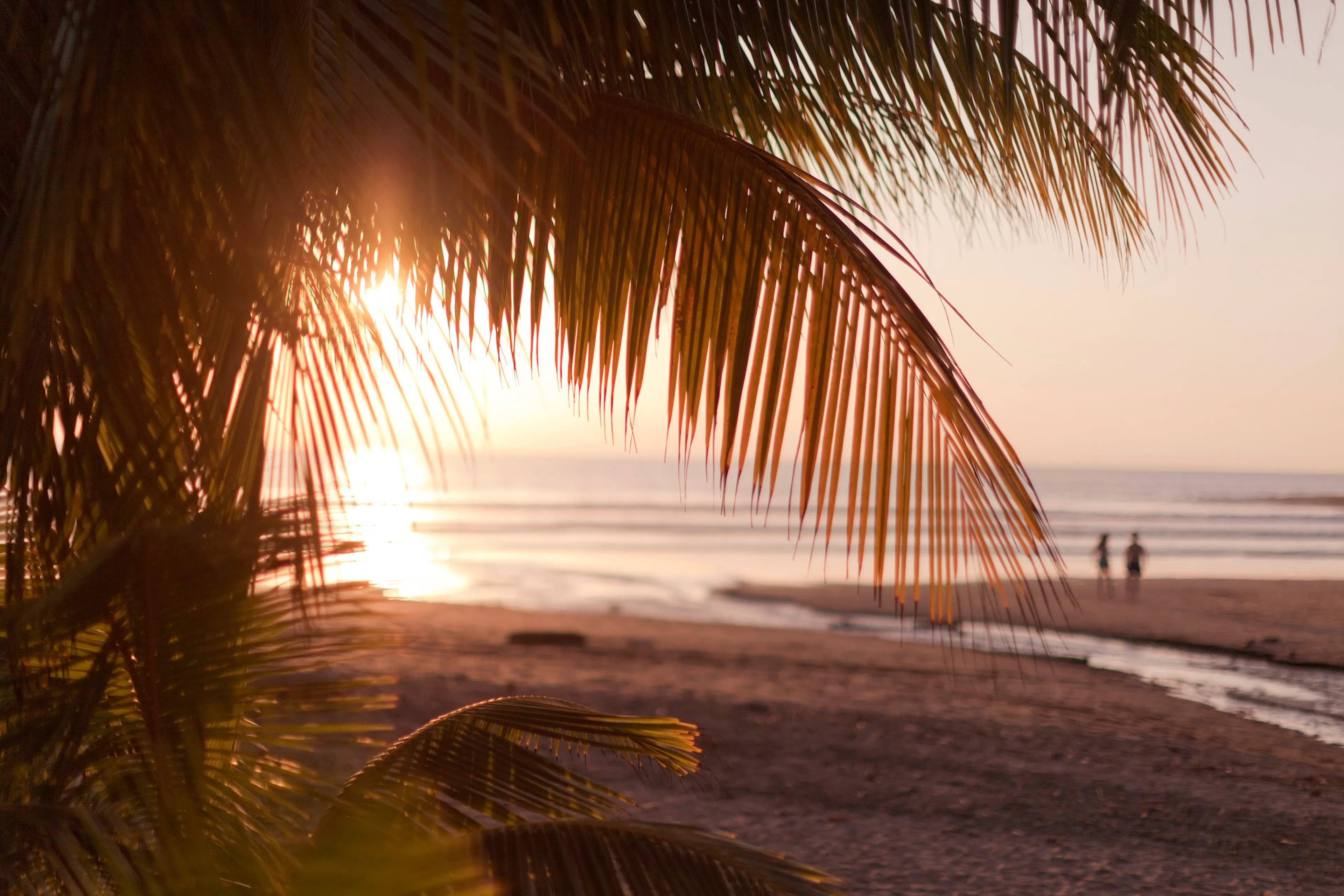 Coucher de soleil aux teintes chaudes sur une plage du Costa Rica