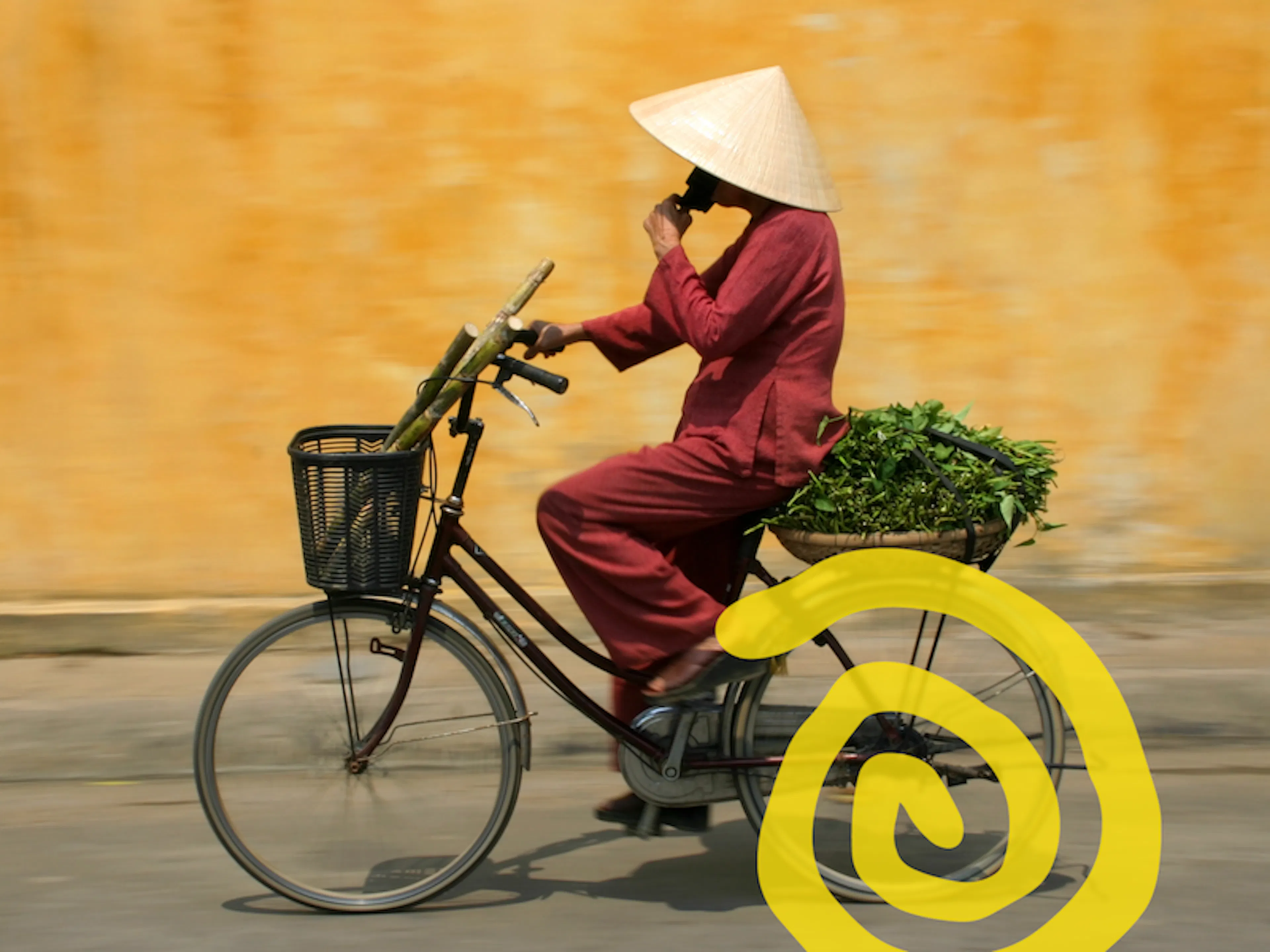 Un hombre en bicicleta transportando sus hierbas aromáticas en la parte trasera, en Vietnam