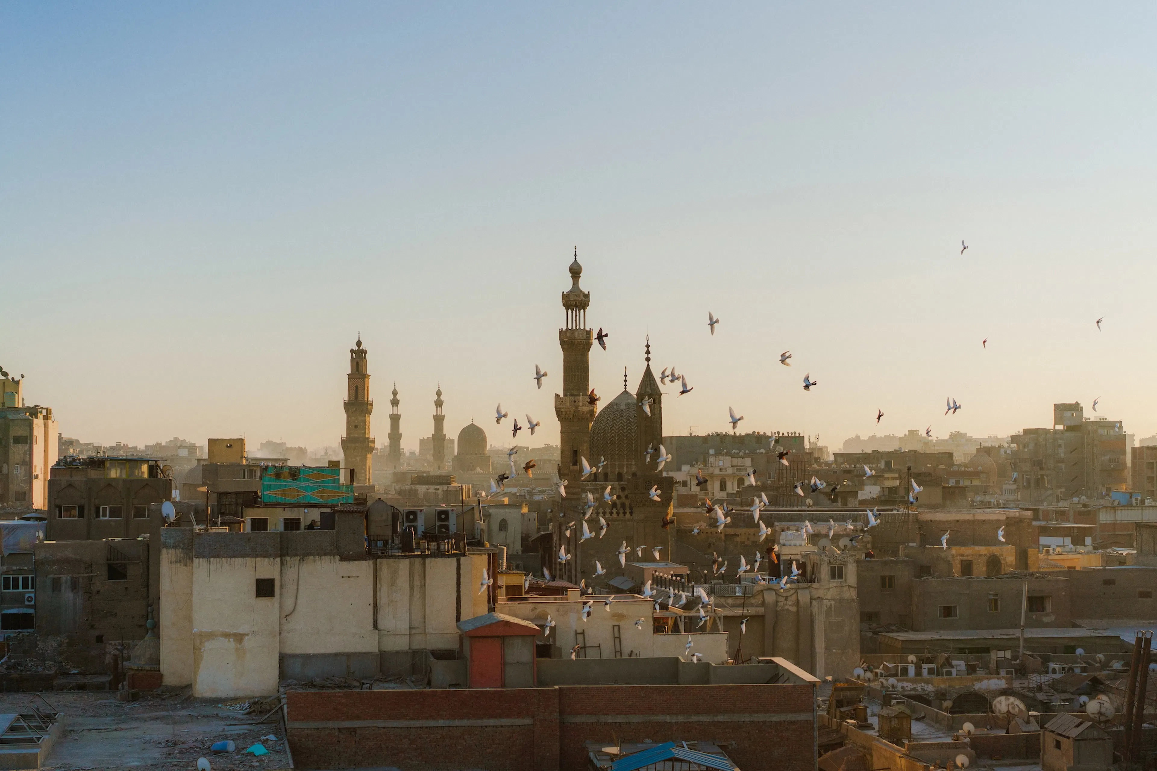 Oiseaux survolant l'Égypte