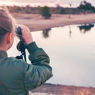 Die Besten Orte, um Wildtiere mit Kindern zu beobachten