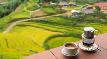 Dégustation de café Vietnamien