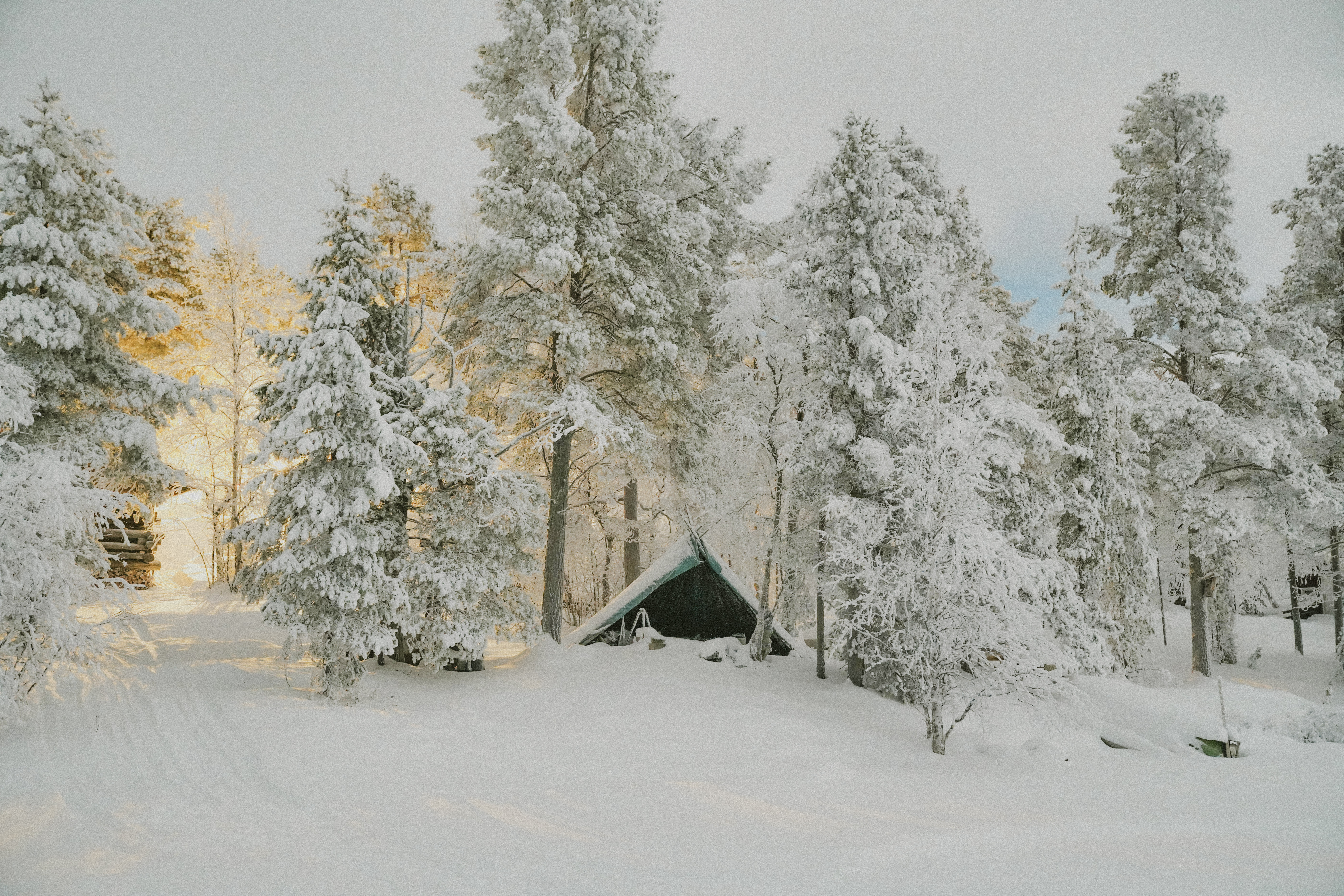 Fêtes de fin d'année