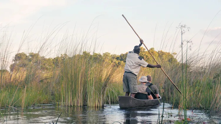 Lokaler Guide in Botswana
