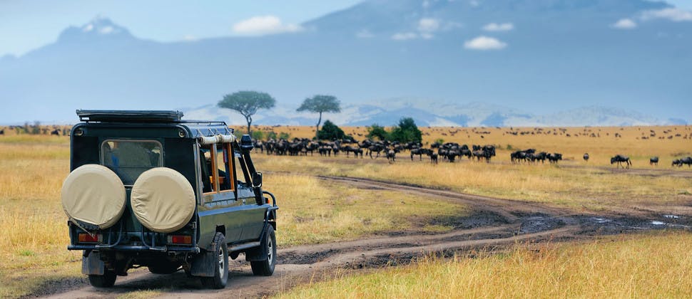 Safari dans le parc de Masai Mara au Kenya