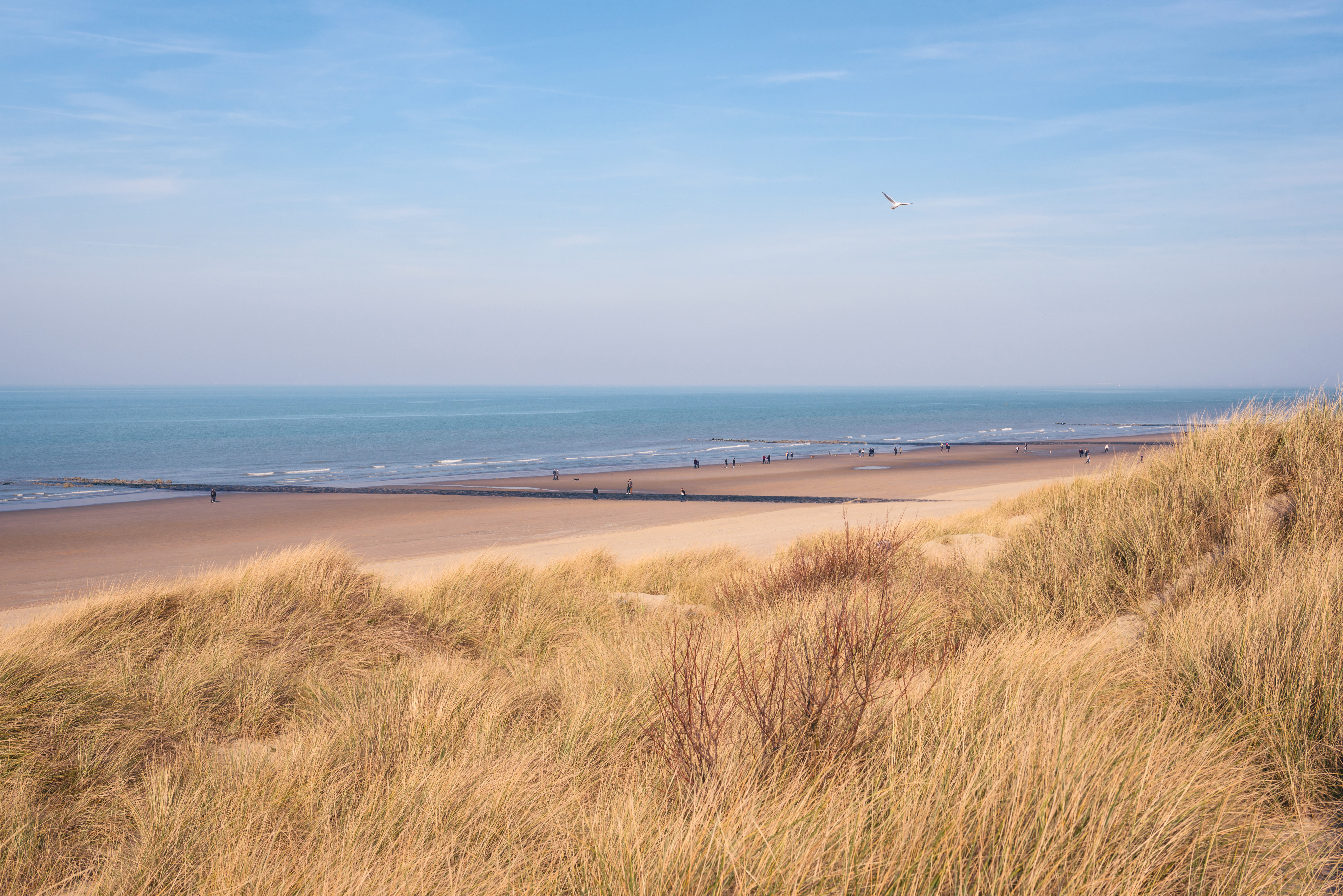 Der schönste Strand Belgiens in Bredene