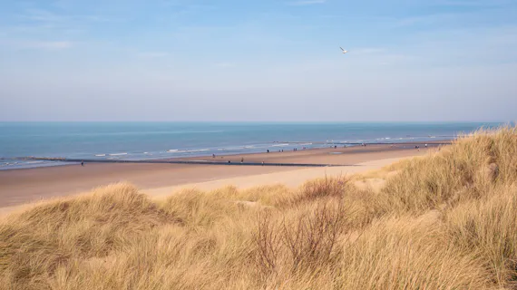 Der schönste Strand Belgiens in Bredene