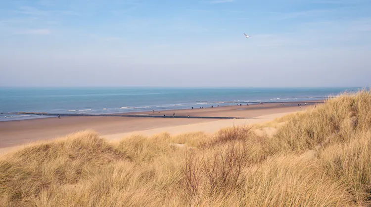 Der schönste Strand Belgiens in Bredene