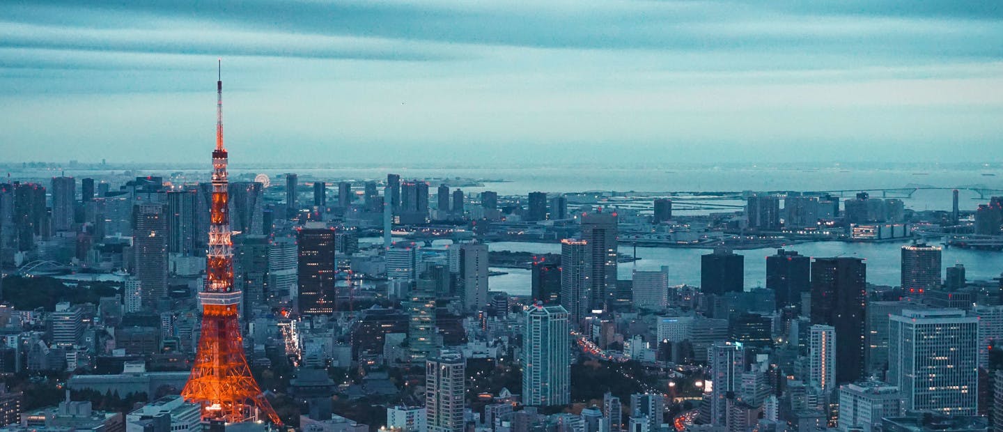 Vue panoramique de Tokyo avec la Tokyo Tower
