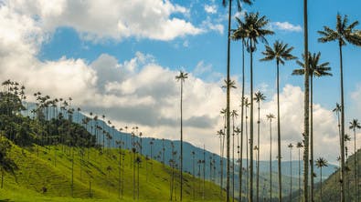 vallée de cocora