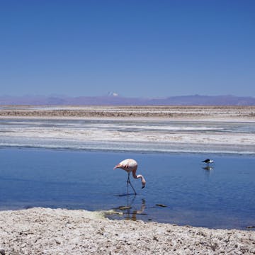 Atacama Chile
