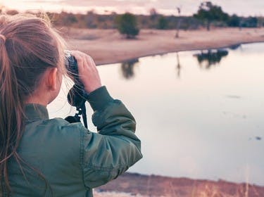 Où partir pour aller observer les animaux sauvages avec des enfants