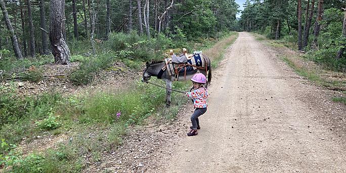 (Re)découvrir la France
