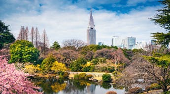 Parc de Shinjuku à Tokyo