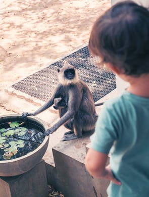 Descubriendo la naturaleza de Sri Lanka en familia