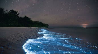 Plage avec la mer illuminée par du plancton bioluminescent