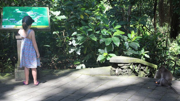 El Santuario del Bosque Sagrado de los Monos en familia