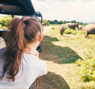 Top 10 Travel Destinations For Families