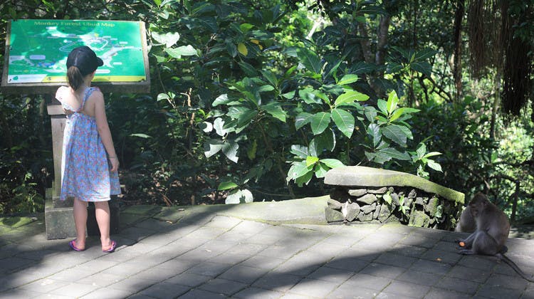 El Santuario del Bosque Sagrado de los Monos en familia
