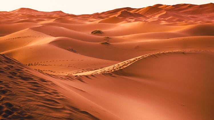 El desierto de Marruecos en familia en Navidades