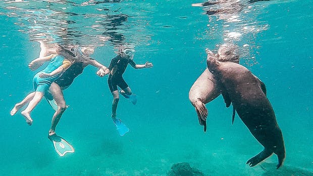 Snorkeling