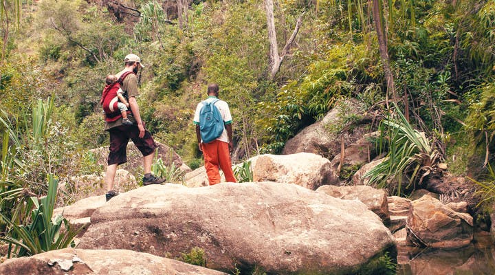 En randonnée dans la jungle avec un enfant