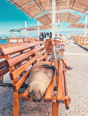 Nuevos amigos al llegar a Galápagos