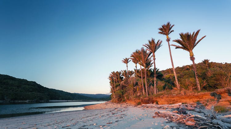 Heaphy Track en Nouvelle-Zélande