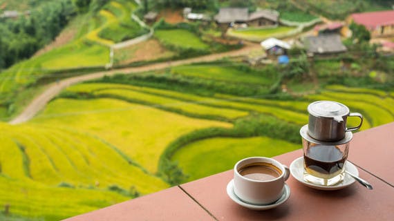 Dégustation de café Vietnamien